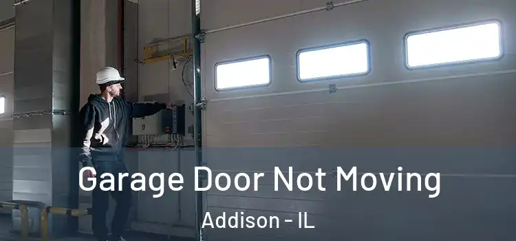  Garage Door Not Moving Addison - IL