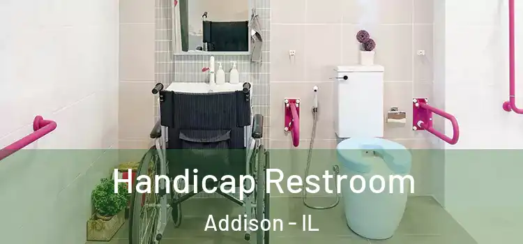  Handicap Restroom Addison - IL