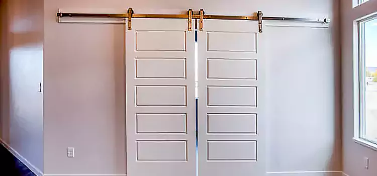Glass Barn Door with Installation Hardware Kit Addison