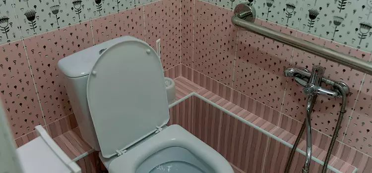 Meeting Diverse Needs With Accessible Restroom Solutions in Addison, IL
