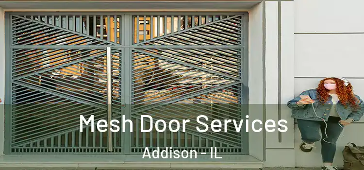 Mesh Door Services Addison - IL